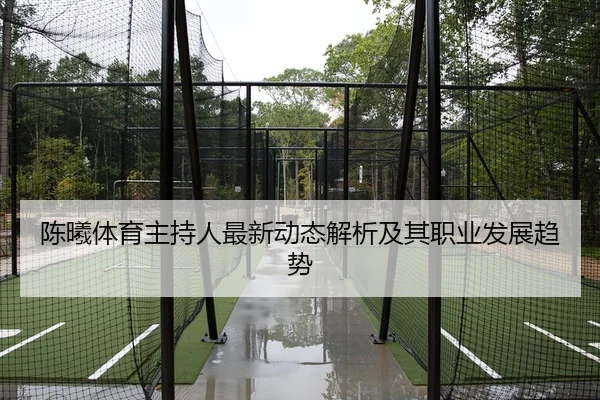 陈曦体育主持人最新动态解析及其职业发展趋势